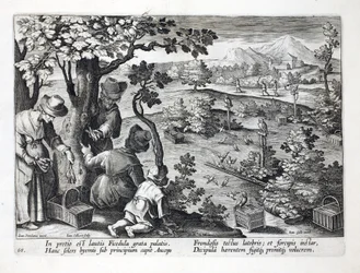 Cacciatori di uccelli che usano gufi e travestimenti per catturare i beccafichi, illustrazione da 